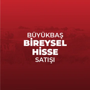 Büyükbaş Bireysel Hisse Satış Fiyatı 30 KG (Kemiksiz)