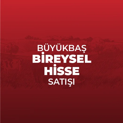 Büyükbaş Bireysel Hisse Satış Fiyatı 30 KG (Kemiksiz)
