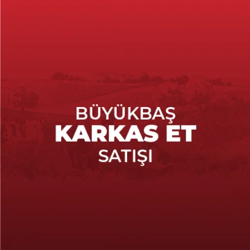 Büyükbaş Karkas Et Kg Satış Fiyatı