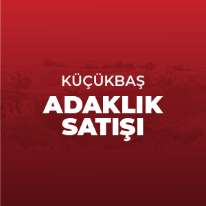 Küçükbaş Adaklık Canlı Kg Satış Fiyatı